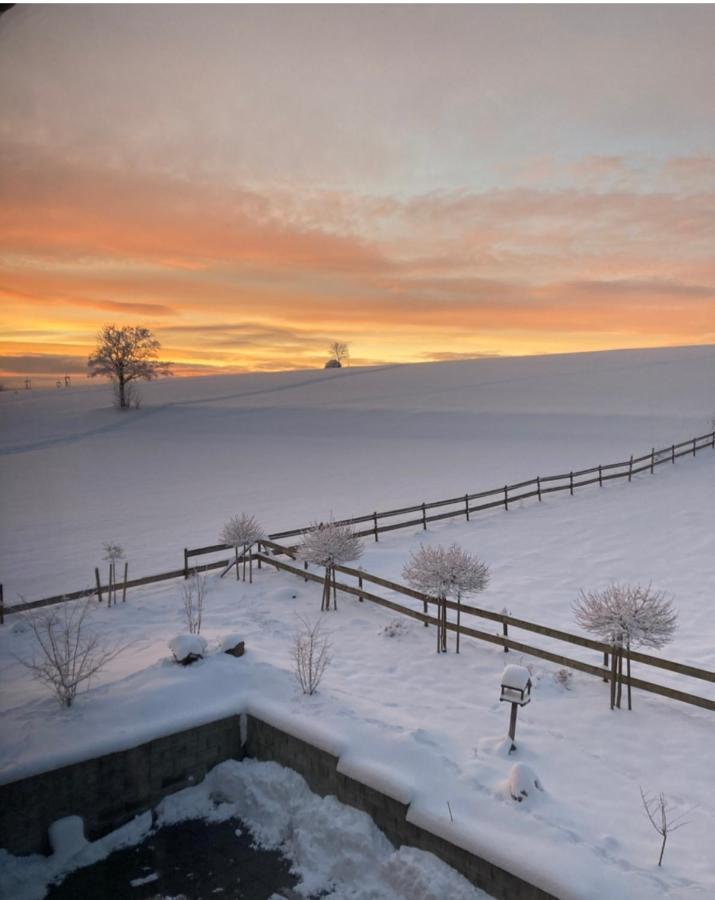 Landhotel Flora & Fauna (Adults Only) Winterberg Bagian luar foto
