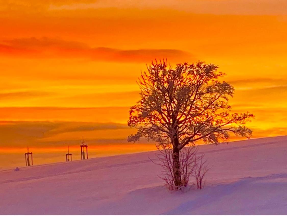 Landhotel Flora & Fauna (Adults Only) Winterberg Bagian luar foto