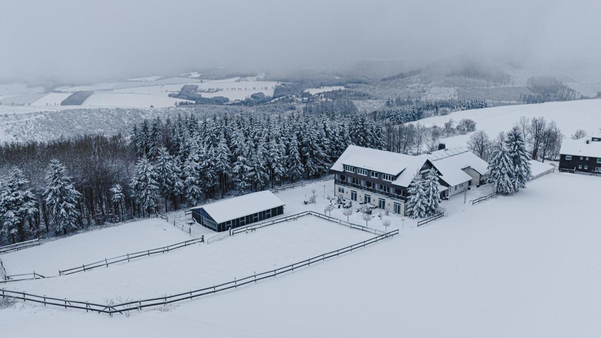 Landhotel Flora & Fauna (Adults Only) Winterberg Bagian luar foto