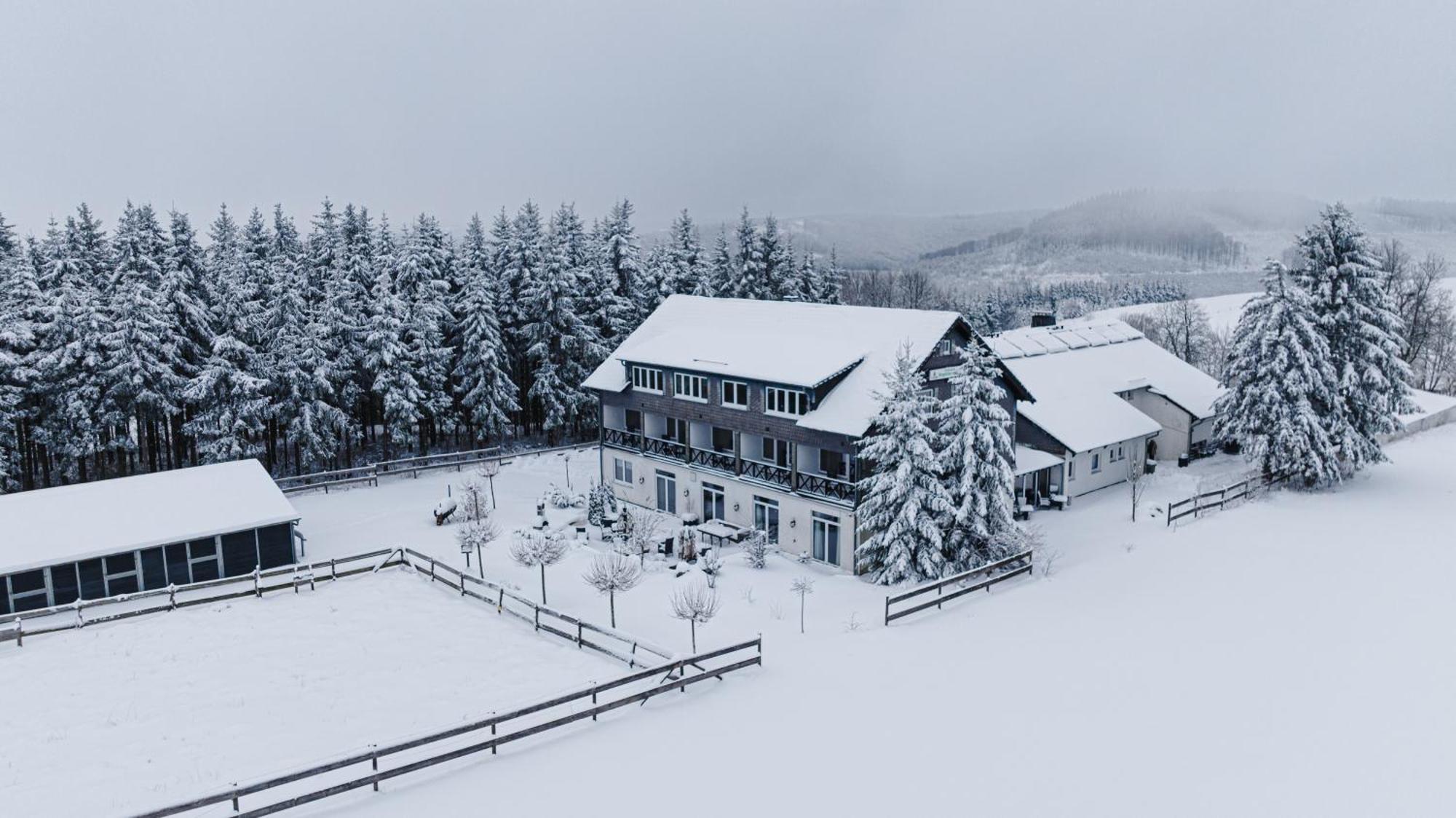 Landhotel Flora & Fauna (Adults Only) Winterberg Bagian luar foto