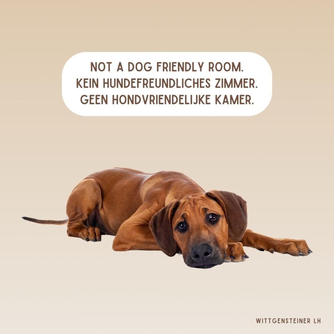 Landhotel Flora & Fauna (Adults Only) Winterberg Ruang foto